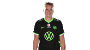 E Sports Sport Sticker by VfL Wolfsburg