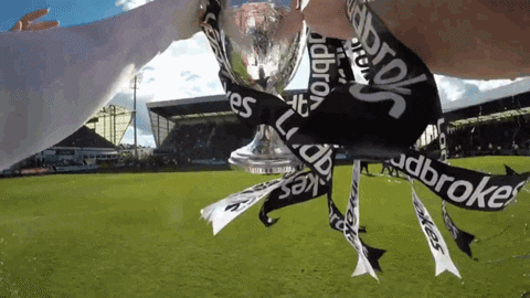 officialdafc giphyupload football celebrate trophy GIF
