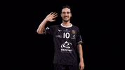 Sport Celebration GIF by Team Chambé