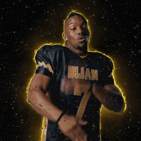 bijanmustardson giphyupload football nfl texas GIF