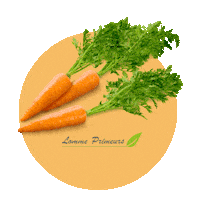 Expression Legumes Sticker by Lomme Primeurs