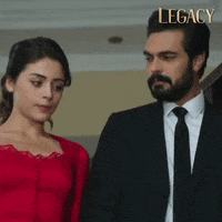 Legacy Emanet GIF by Eccho Rights