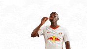 Fun Lol GIF by RB Leipzig