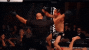Frankie Edgar Sport GIF by UFC