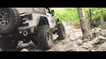 BodyguardBumpers life offroad jeep arkansas GIF