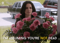 Schitts Creek Comedy GIF by CBC
