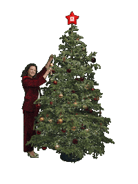 Happy Christmas Sticker by Kaufland Slovensko