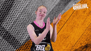 Sport Basketball GIF by Basket_fi