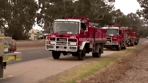 giphydvr giphynewsinternational fires australia fires wildifires GIF