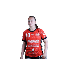 hollenstedt-handball sport handball jubel freude Sticker