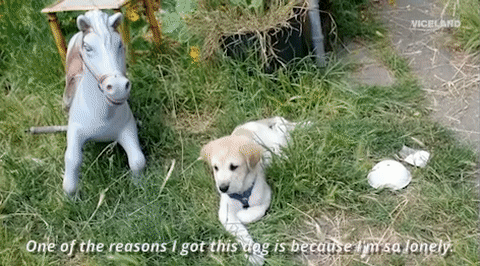 viceland GIF by TWIZ & TUCK