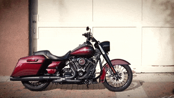 Moto GIF by Vance and Hines
