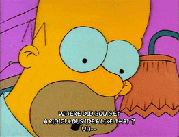 Season 1 GIF by The Simpsons