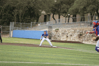 Baseball GIF by TCABB