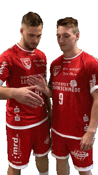 Handball Sticker by tusferndorf