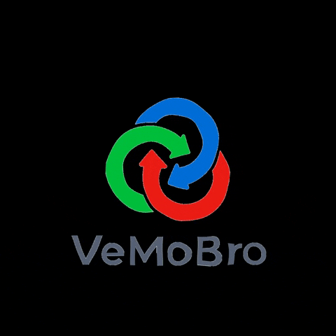 Buy Now Shopping GIF by VeMoBro Philippines