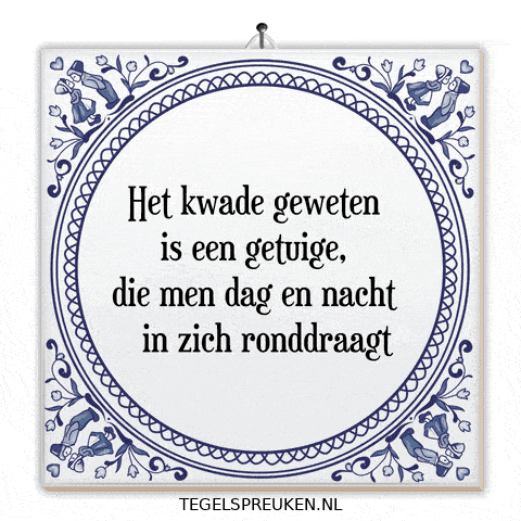 Humor Reflectie GIF by Tegelspreuken.nl