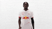 Rb Leipzig No GIF by Bundesliga