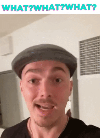 Bro Reaction GIF by Pauly Long