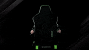 Chair Noblechairs GIF by Sprout