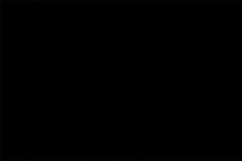 kim jong un GIF