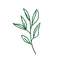 Planta Minimalista Sticker by Toque de Capricho