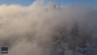 'Head in the Clouds' - Timelapse Footage Captures Fog Passing Through Melbourne Skyline
