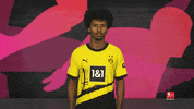 Borussia Dortmund Celebration GIF by Bundesliga