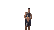 Sport Basketball Sticker by HAKRO Merlins Crailsheim