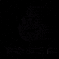 Podertienda GIF by Poder Lámparas de sal del Himalaya