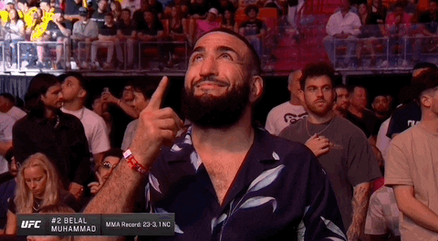 Mixed Martial Arts Sport GIF by UFC