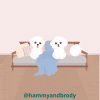 Dog GIF by HammyandBrody