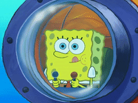 season 7 episode 21 GIF by SpongeBob SquarePants