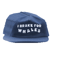 obabikaorg  Sticker