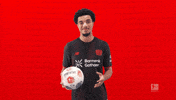 Bayer Leverkusen Football GIF by Bundesliga
