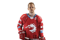 Hockey Trinec Sticker by HC Oceláři Třinec
