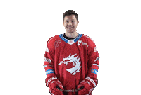 Hockey Trinec Sticker by HC Oceláři Třinec