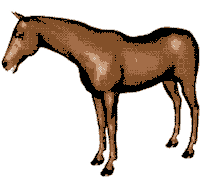horse Sticker