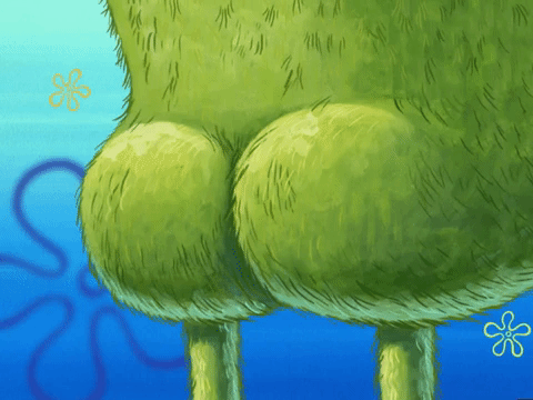 Season 4 GIF by SpongeBob SquarePants