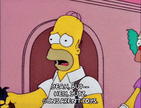 homer simpson GIF