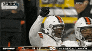 Regular Season Football GIF by NFL