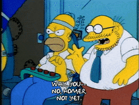 Season 1 GIF by The Simpsons