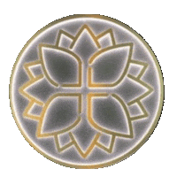 laredowellness lwa medispa laredotx lwalhr Sticker