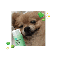 SeasonsLYS love skincare seasons perrito Sticker