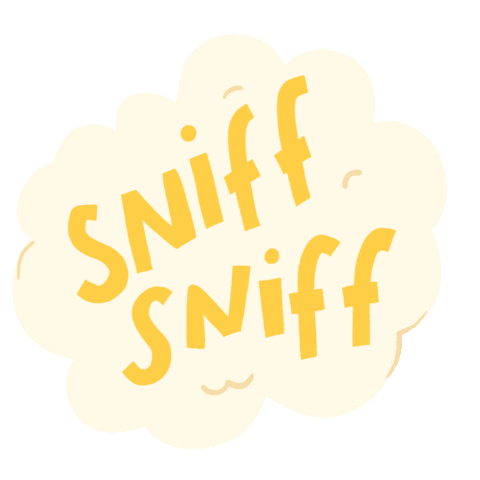 duftandchandelle giphyupload fire star light Sticker