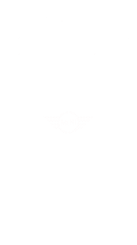 Minibiglovedays Sticker by MINI Italia