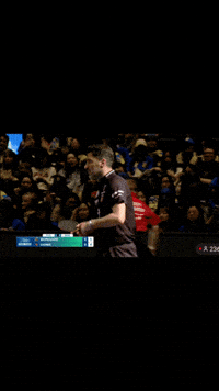Sorry Table Tennis GIF