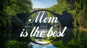 Love You Mommy Family GIF by OpticalArtInc.