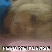Sleep Sound GIF by Blondie