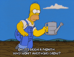 homer simpson questioning GIF